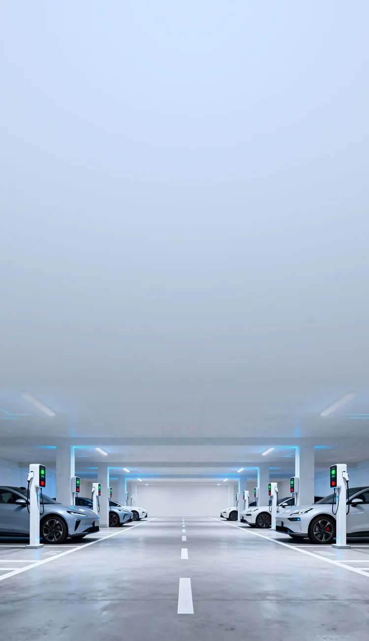 新澳门免费原料资源